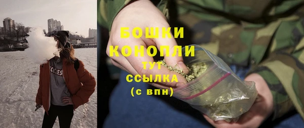 шишки Волоколамск