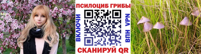 Купить  Нижнеудинск  Галлюциногенные грибы ЛСД 